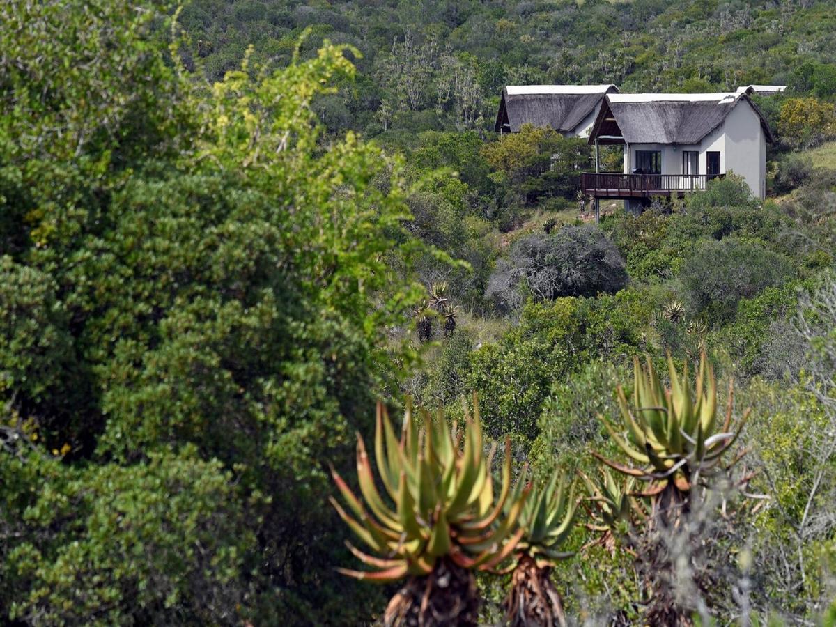 Burlington Bush Cottages By The Oyster Collection Salem المظهر الخارجي الصورة